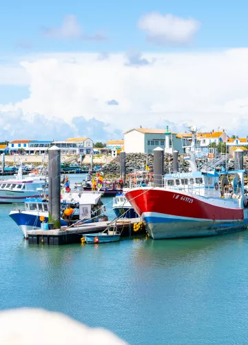 Port de la Cotinière