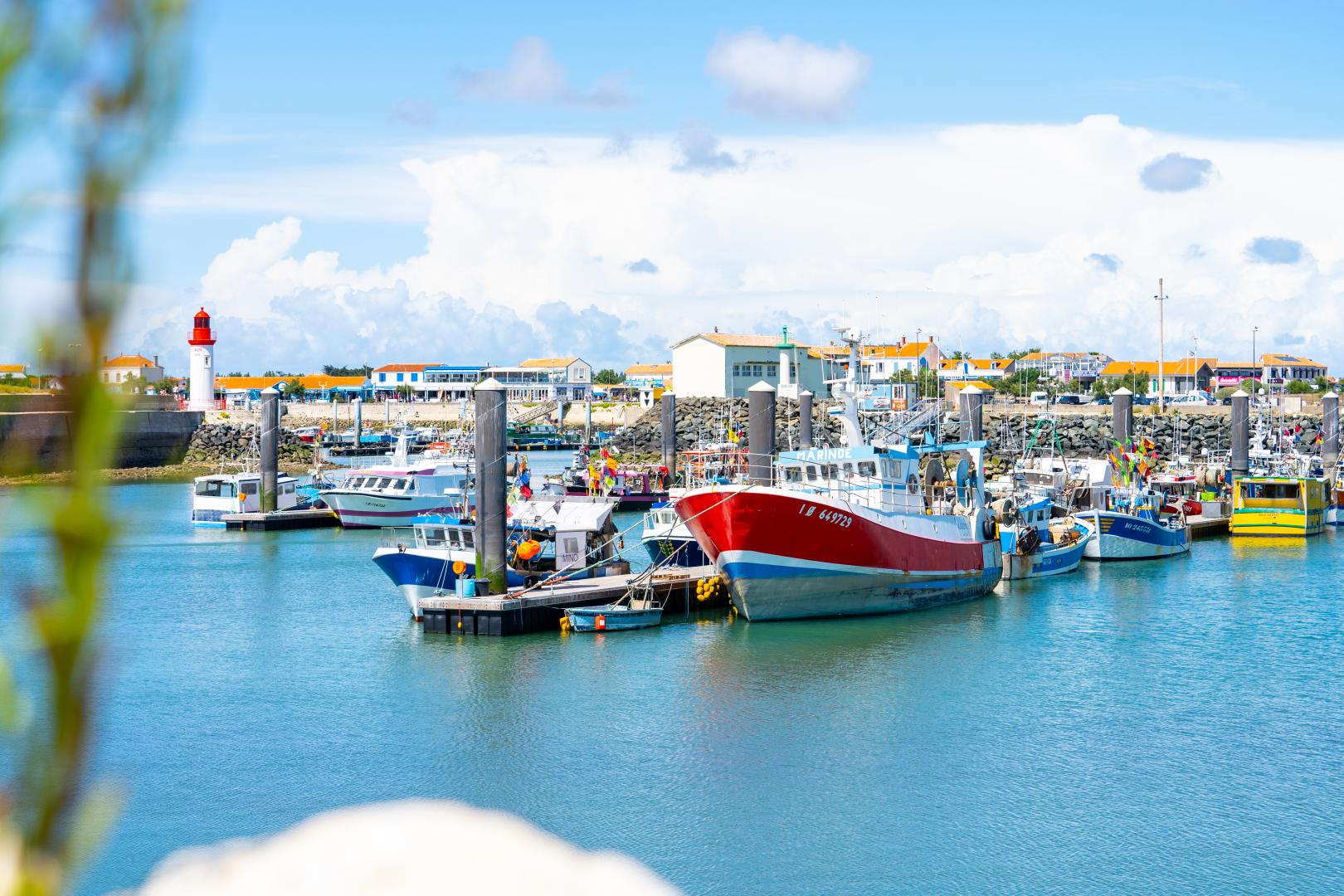 Le port de pêche de la Cotinière
