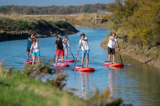 Stand Up Paddle