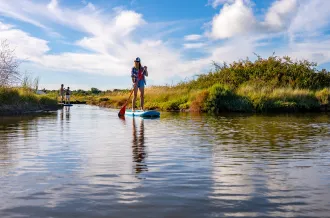 Stand Up Paddle