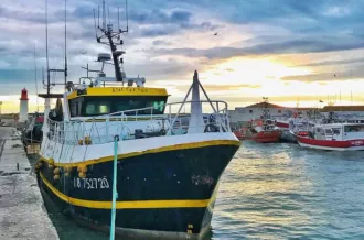 Les coulisses de la criée - Visite matinale