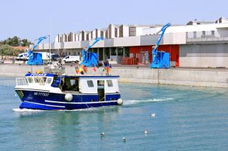 Le port de la cotinière