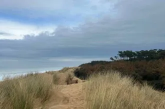 Randonnée entre mer & forêt