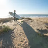 surf