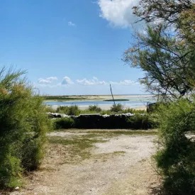 balade nature