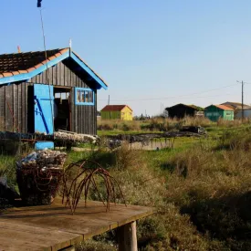 Dégustation découverte