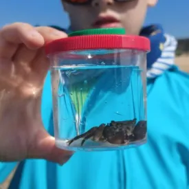 Pêche à pied d'exploration