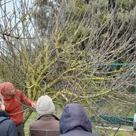Les végétaux : ressources de mon jardin
