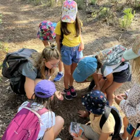 Forêt du littoral_Saint-Pierre-d'Oléron
