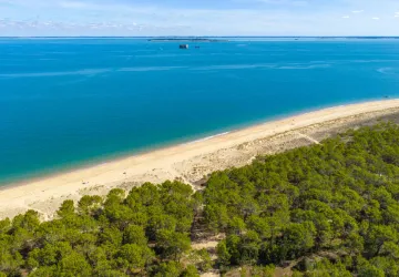 Forêt des Saumonards_Saint-Georges-d'Oléron