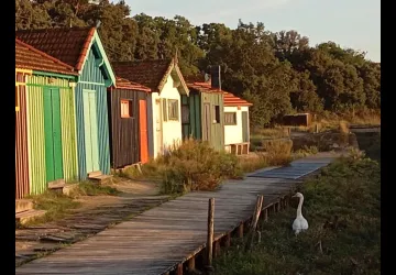 Site ostréicole et naturel de Fort Royer_Saint-Pierre-d'Oléron