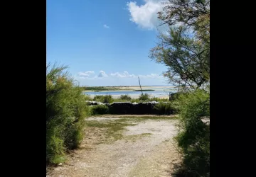 Site ostréicole et naturel de Fort Royer_Saint-Pierre-d'Oléron