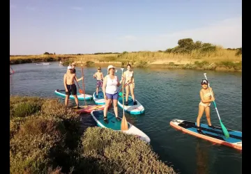 Salicorne Paddle & Kayak