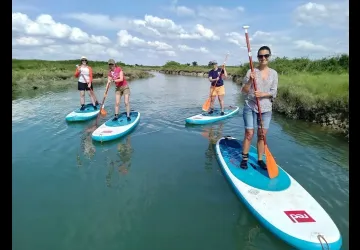Salicorne Paddle & Kayak