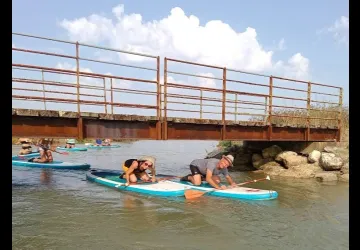 Salicorne Paddle & Kayak