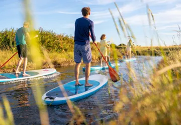Salicorne Paddle & Kayak