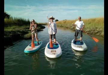 Salicorne Paddle & Kayak