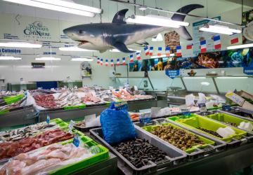 les pêcheries de la cotinière