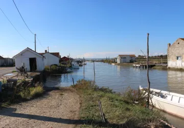 Paysage ostréicole