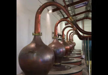Visite guidée de la distillerie