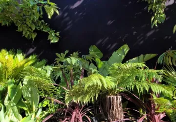 Green Alive
