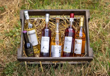 Vignoble Pradère_Saint-Pierre-d'Oléron