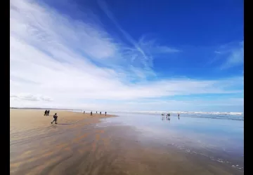 L'homme de l'île guide touristique_Dolus-d'Oléron