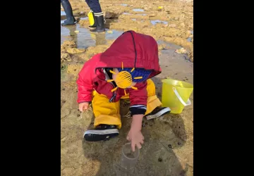 P'tite nature_Saint-Pierre-d'Oléron