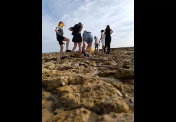 P'tite nature_Saint-Pierre-d'Oléron