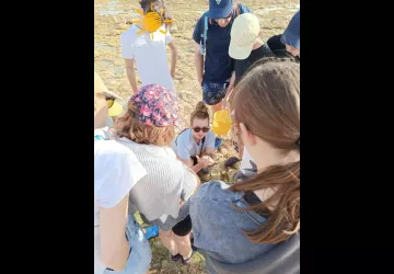 P'tite nature_Saint-Pierre-d'Oléron