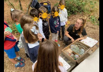 P'tite nature_Saint-Pierre-d'Oléron