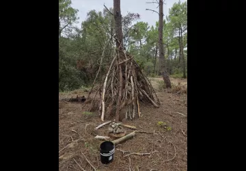 P'tite nature_Saint-Pierre-d'Oléron