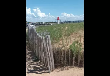 La Cotinarde