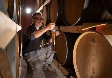 Vignoble Mage & Fils_Saint-Pierre-d'Oléron