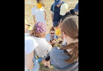 P'tite pêche à pied_Saint-Pierre-d'Oléron