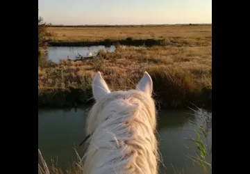 La Manade promenade à cheval