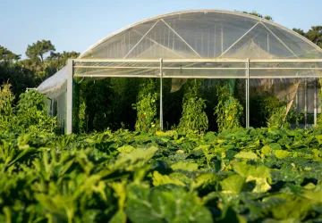 Visite et atelier aux jardins de l'APO_Saint-Trojan-les-Bains