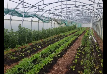 Visite et atelier aux jardins de l'APO_Saint-Trojan-les-Bains