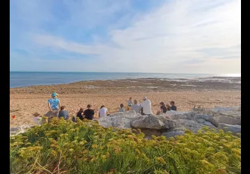 Criste marine et découverte de l'estran