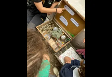 Activité anniversaire nature