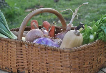 Marché de producteurs Marennes Oléron Produits Saveurs (MOPS)