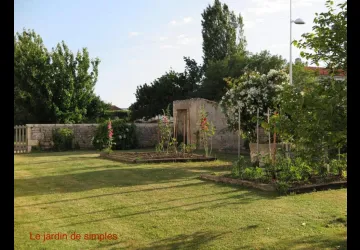 jardin