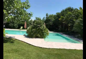 Piscine 2
