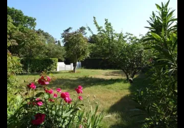 jardin 2